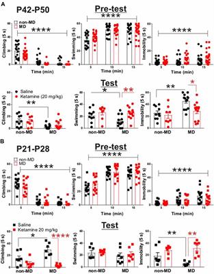 Ketamine Reverses Lateral Habenula Neuronal Dysfunction and Behavioral Immobility in the Forced Swim Test Following Maternal Deprivation in Late Adolescent Rats